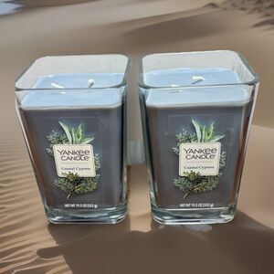NEW 2 Yankee Candle Elevation Collection COASTAL CYPRESS 2 Wick Retired 19.5 Oz